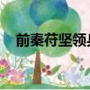 前秦苻堅領兵進攻東晉 成語（前秦苻堅）
