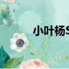 小葉楊SY（關于小葉楊SY簡介）