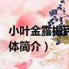 小葉金露梅民勤群體（關于小葉金露梅民勤群體簡介）