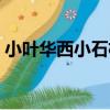 小葉華西小石枳（關于小葉華西小石枳簡介）
