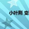 小葉荊 變種（關于小葉荊 變種簡介）