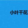 小葉干花豆（關于小葉干花豆簡介）