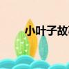 小葉子故事（關于小葉子故事簡介）