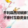 平利縣西河鎮獅子寨村互助資金協會（關于平利縣西河鎮獅子寨村互助資金協會介紹）