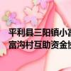 平利縣三陽鎮小富溝村互助資金協會（關于平利縣三陽鎮小富溝村互助資金協會介紹）