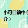小可口鎮中心學校（關于小可口鎮中心學校簡介）