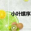 小葉螺序草（關于小葉螺序草簡介）