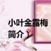 小葉金露梅 原變種（關于小葉金露梅 原變種簡介）