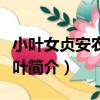小葉女貞安農大金葉（關于小葉女貞安農大金葉簡介）