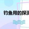釣魚用的探測器叫什么（釣魚用的探測器）