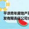 平涼青年房地產開發有限責任公司（關于平涼青年房地產開發有限責任公司介紹）