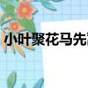 小葉聚花馬先蒿（關于小葉聚花馬先蒿簡介）