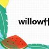 willow什么意思（WILL什么意思）