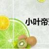 小葉帝冠（關于小葉帝冠簡介）