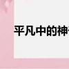 平凡中的神奇（關于平凡中的神奇介紹）