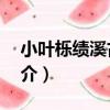 小葉櫟績溪古1號（關于小葉櫟績溪古1號簡介）