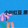 小葉紅豆 原變種（關于小葉紅豆 原變種簡介）