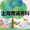 上海青浦男科醫院排名（上海青浦男科醫院）