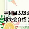 平利縣太極柔力球協會（關于平利縣太極柔力球協會介紹）