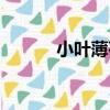 小葉薄荷（關于小葉薄荷簡介）