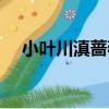 小葉川滇薔薇（關于小葉川滇薔薇簡介）