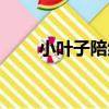 小葉子陪練（關于小葉子陪練簡介）