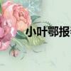 小葉鄂報春（關于小葉鄂報春簡介）