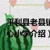 平利縣老縣鎮中心小學（關于平利縣老縣鎮中心小學介紹）