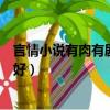 言情小說有肉有劇情文筆好片段（言情小說有肉有劇情文筆好）