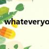 whateveryoudonevergiveup是什么意思