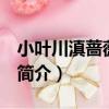 小葉川滇薔薇 變種（關于小葉川滇薔薇 變種簡介）