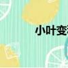 小葉變種（關于小葉變種簡介）