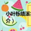 小葉櫟績溪古4號（關于小葉櫟績溪古4號簡介）