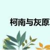柯南與灰原哀情侶頭像（柯南與灰原哀）