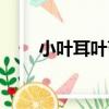 小葉耳葉苔（關于小葉耳葉苔簡介）