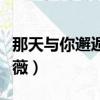 那天與你邂逅的薇薇演員（那天與你邂逅的薇薇）