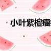 小葉紫檀瘤疤（關于小葉紫檀瘤疤簡介）