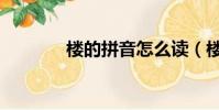 樓的拼音怎么讀(樓的拼音)