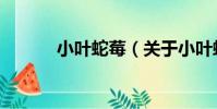 小葉蛇莓(關于小葉蛇莓簡介)