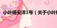 小葉楊安澤1號(關于小葉楊安澤1號簡介)