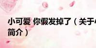 小可愛 你假發掉了(關于小可愛 你假發掉了簡介)