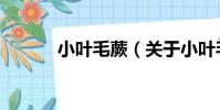 小葉毛蕨(關于小葉毛蕨簡介)