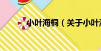 小葉海桐(關于小葉海桐簡介)