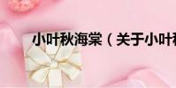 小葉秋海棠(關于小葉秋海棠簡介)