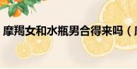 摩羯女和水瓶男合得來嗎(摩羯女和水瓶男)