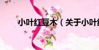 小葉紅豆木(關于小葉紅豆木簡介)