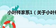 小葉梣家系1(關于小葉梣家系1簡介)