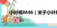 小葉楊M46(關于小葉楊M46簡介)