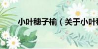 小葉穗子榆(關于小葉穗子榆簡介)