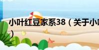小葉紅豆家系38(關于小葉紅豆家系38簡介)